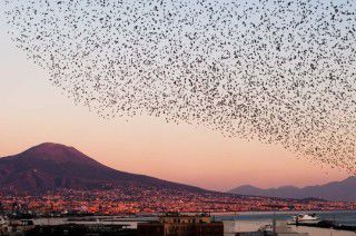 Domus Municipio Hotell Napoli Eksteriør bilde